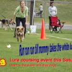 Open Lure coursing